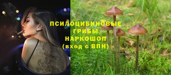 mix Арсеньев