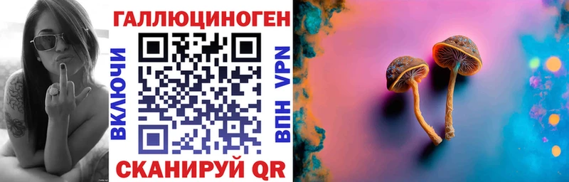 omg tor  даркнет сайт  Бакал  Псилоцибиновые грибы GOLDEN TEACHER 